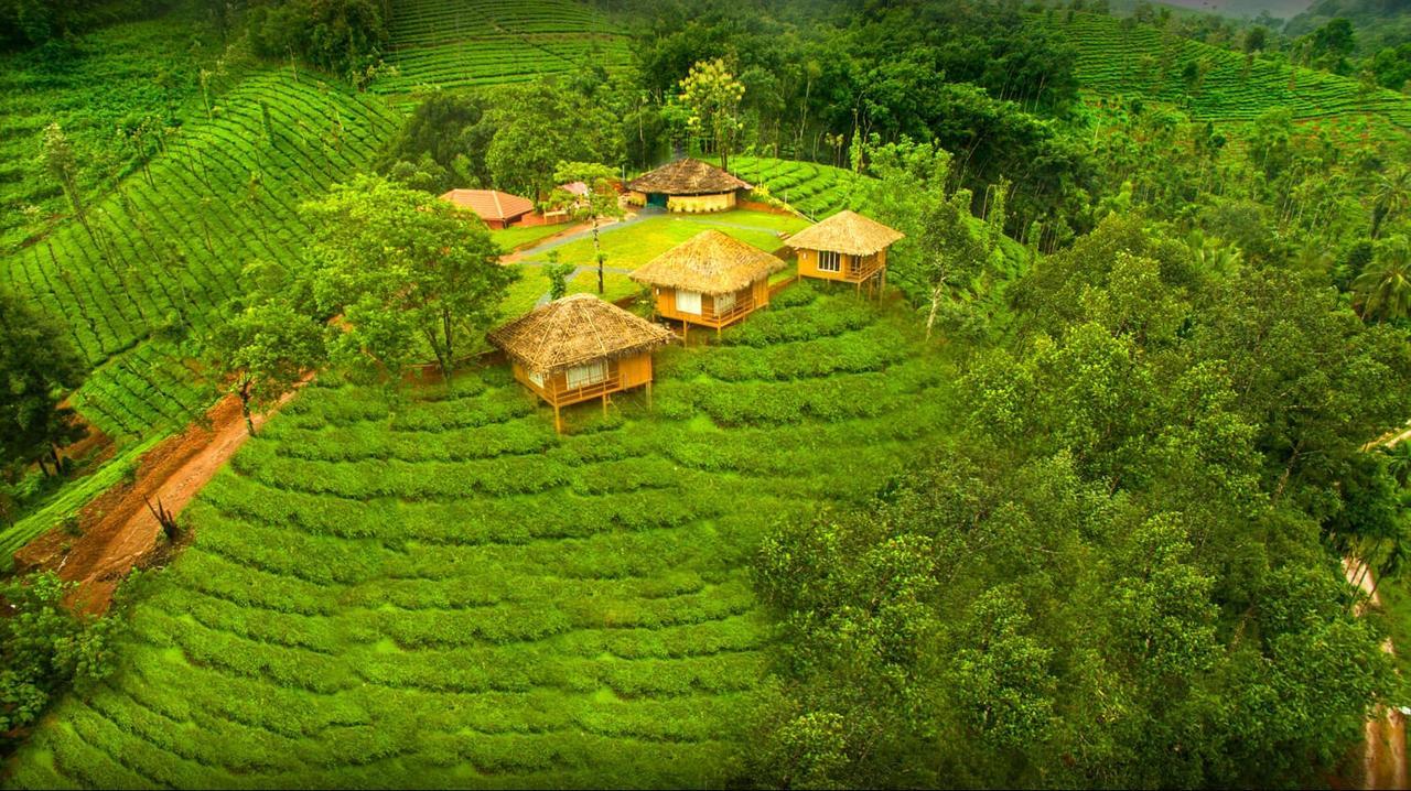 واياناد Oxyfarm Resorts المظهر الخارجي الصورة